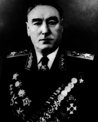 biryuzov